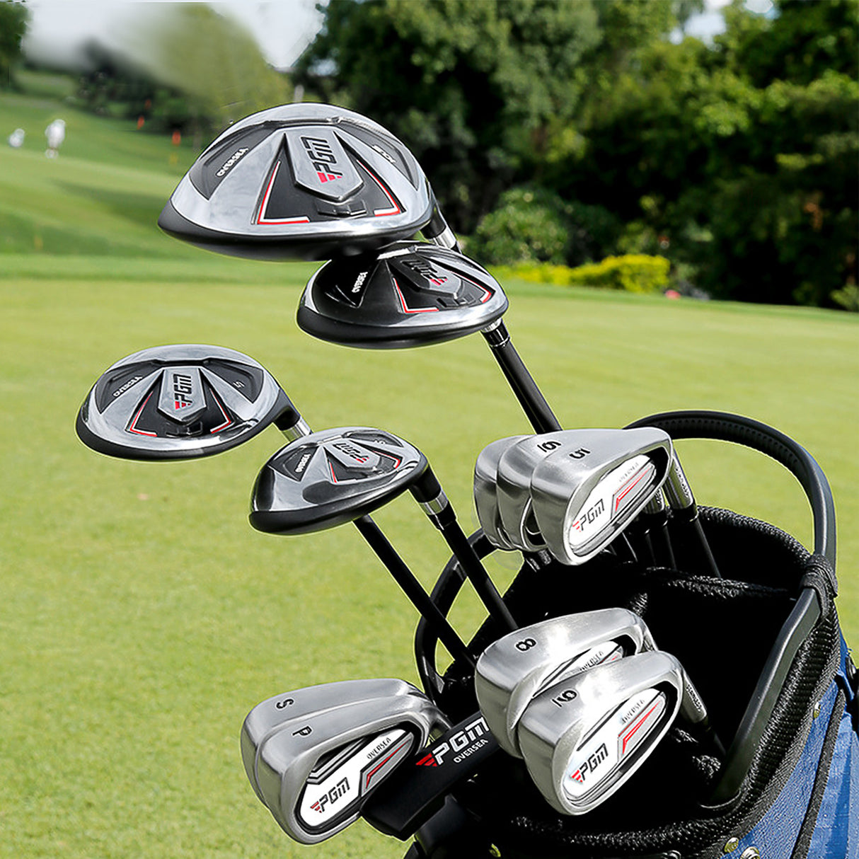 Men’s 12pc Golf Club Set with Bag + FREE 12 Golf Balls | Right Hand Graphite MTG051